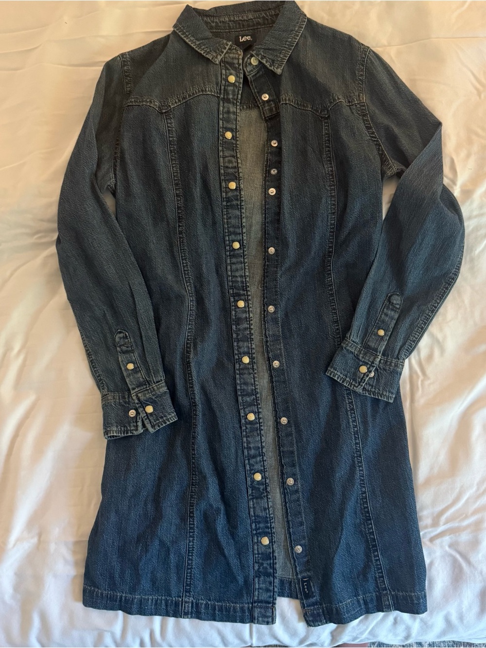 Vintage Denim Dress